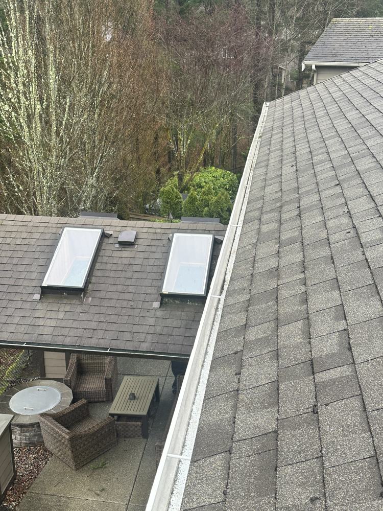 The same gutter cleared after cleaning