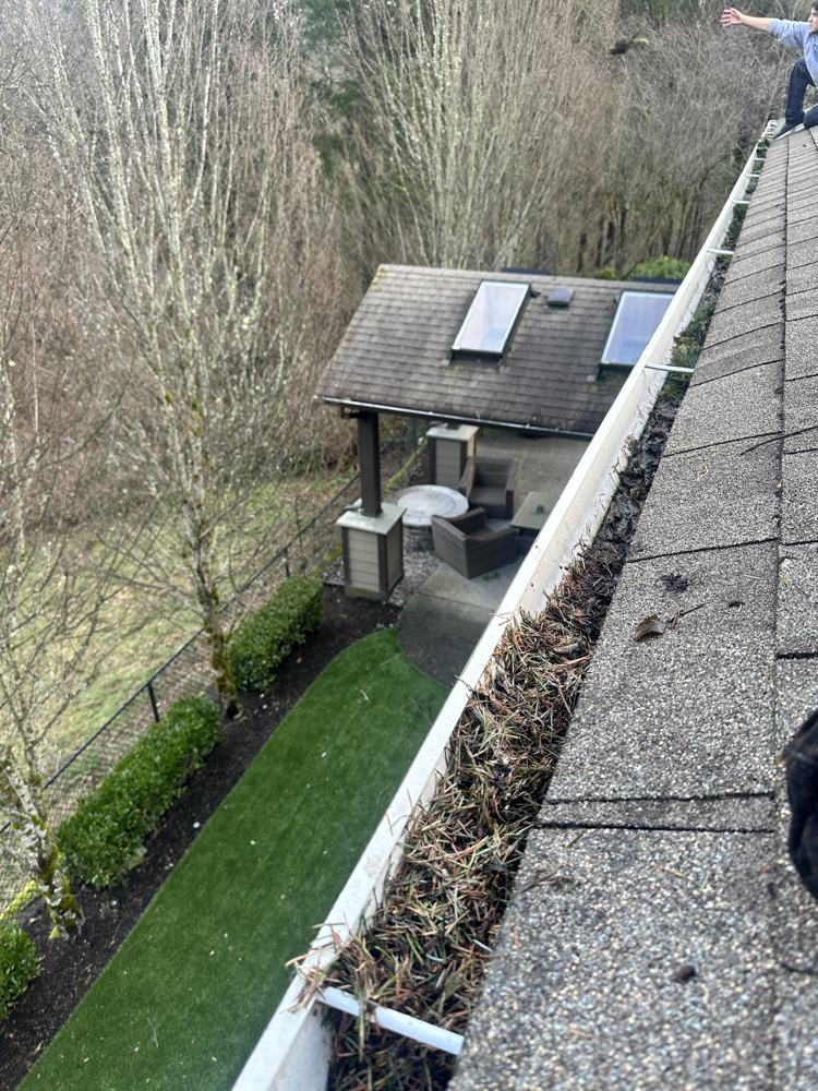 Gutter packed with pine needles before cleaning