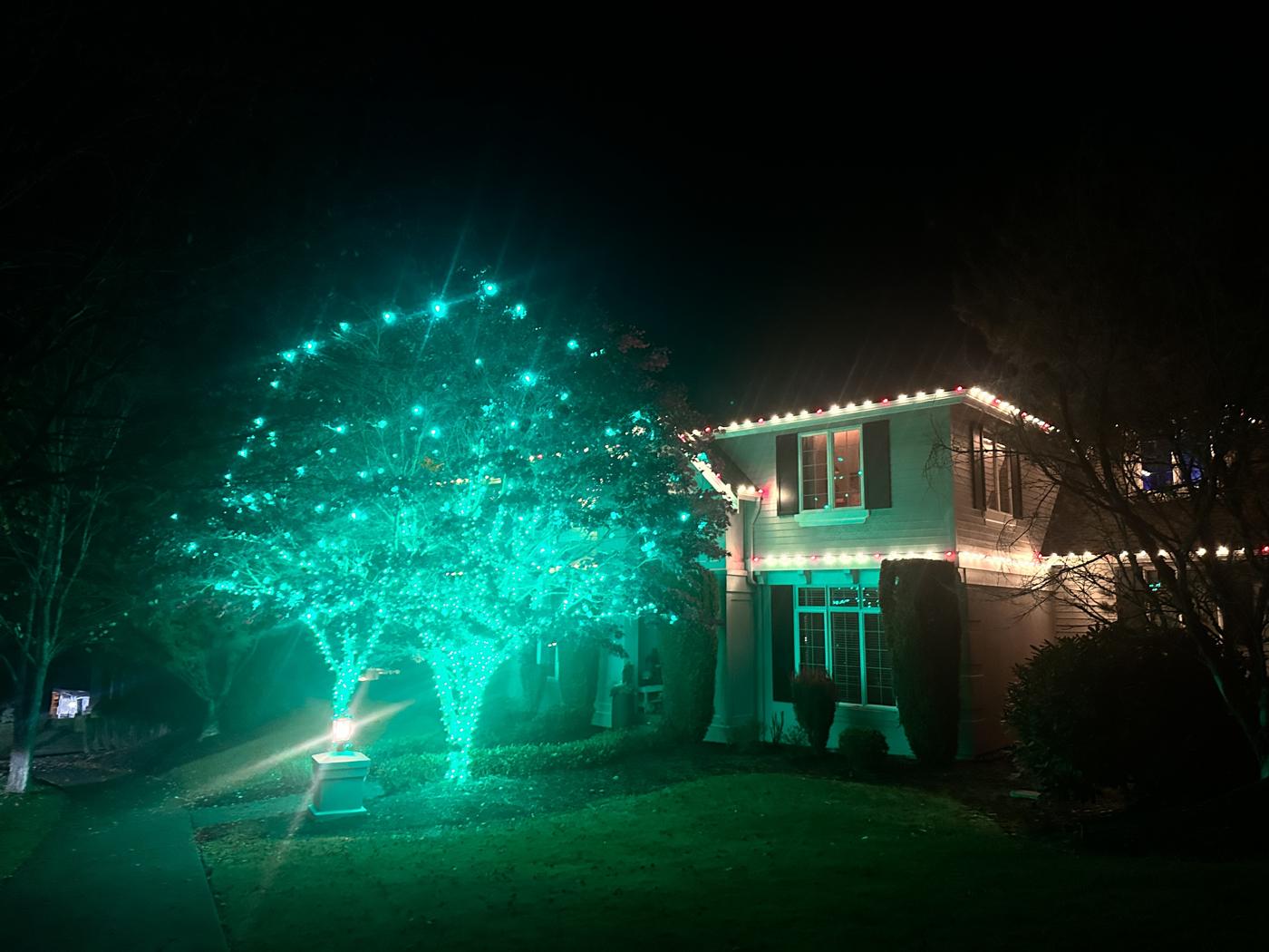 Trees wrapped in teal lights beside a red and white roofline